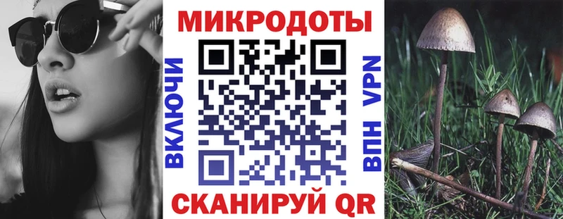 Галлюциногенные грибы Cubensis Владимир