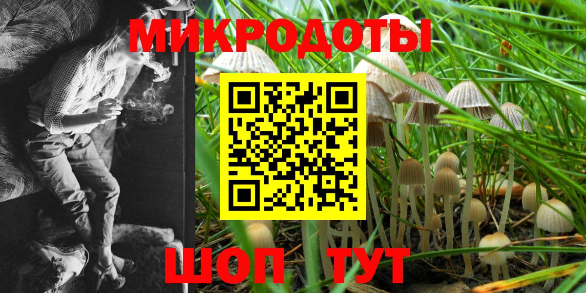 Галлюциногенные грибы Psilocybine cubensis  Вход с VPN  Владимир  Псилоцибиновые грибы мицелий 